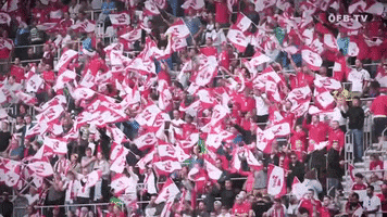 national team fans GIF