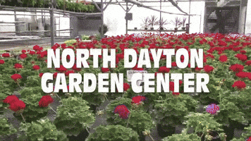 ameliarobinson north dayton garden center GIF