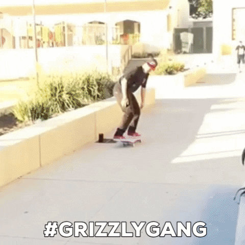 grizzlygang grizzly griptape GIF by Torey Pudwill