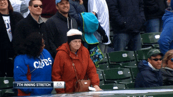 chicago cubs fun GIF by NBC Sports Chicago
