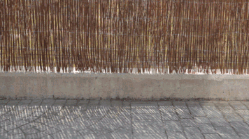 Diy Madera GIF