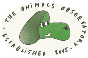 Sticker by The Animals Observatory