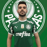 bruno henrique soccer GIF by SE Palmeiras