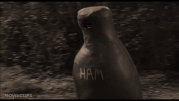 Running Ham GIF