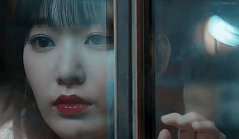 Cat Sakura GIF