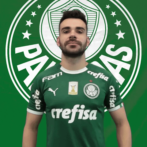 Cuidado bruno henrique GIF by SE Palmeiras