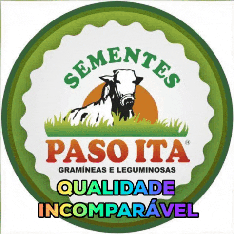 Pasoita Capim Pasto Boi GIF