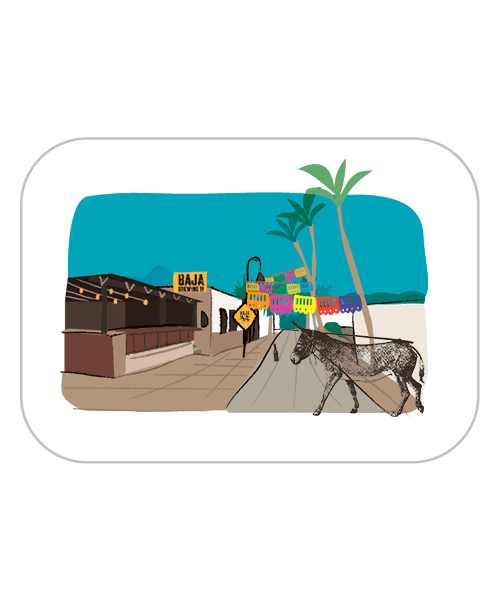 Los Cabos Mexico Sticker by Baja Brewing Co.