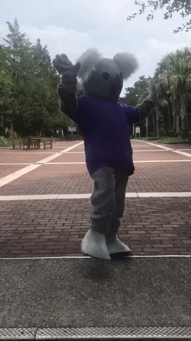 happy dance GIF by Columbia College