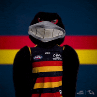 adelaidecrows-2019-afl-adelaide-crows-1n8zcwRgmH7oqVxTBz