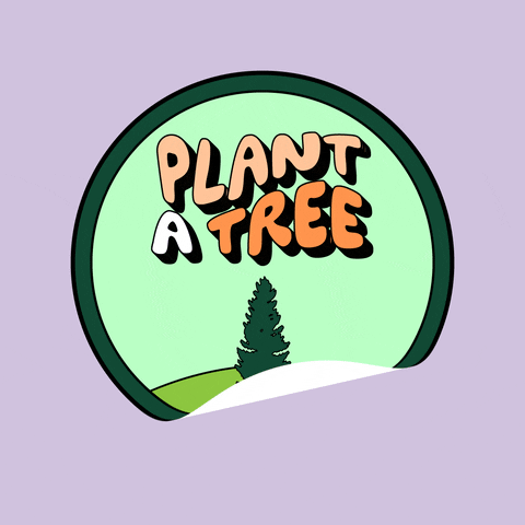 Digital art gif. Art inside an illustration of a round sticker shows a lone pine tree below orange bubble text that reads, "Plant a tree," all against a light lavender background.