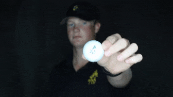 College Golf Drovers GIF by University of Science & Arts