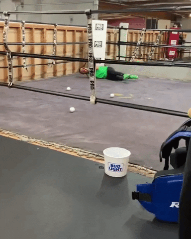 giphy.gif