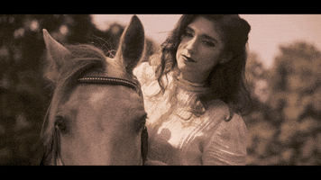 In Dreams Horse GIF by Sierra Ferrell