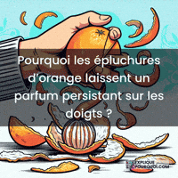 expliquepourquoi-huiles-essentielles-pluchures-dorange-parfum-persistant-1oA0IvrqRZ5X9S6LvD