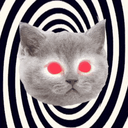 Hypnotize meme gif