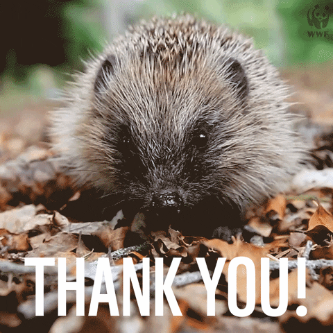 wildlife thank you GIF by WWF_UK