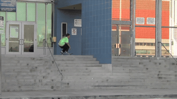 Rowan Psockadelic GIF