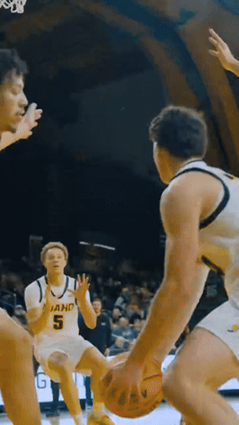 Idaho Vandals GIF