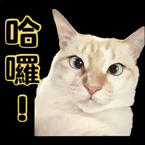 Cat GIF
