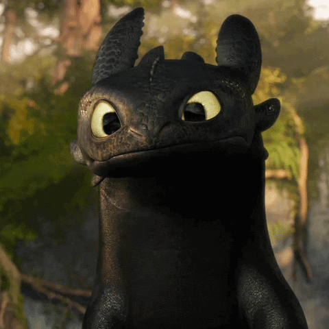 how to train your dragon flying gif