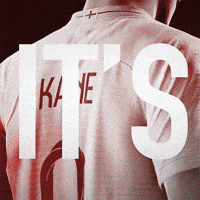 celebrate world cup GIF by EA SPORTS FIFA