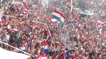 celebrating world cup GIF by euronews