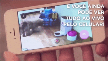 Camera GIF by PlayPet