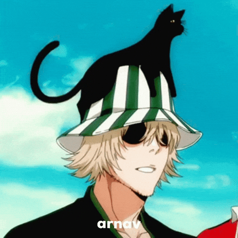 Yoruichi Shihouin GIF