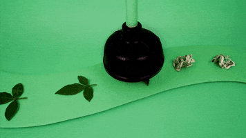 200.gif?cid=fc005b08cb0dfe30a3634b46a4c1cd24464d28ebd4cd0c9c&rid=200.gif&ct=g