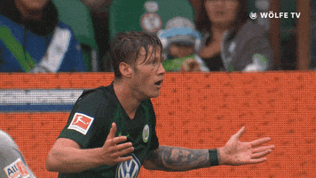 whats up football GIF by VfL Wolfsburg