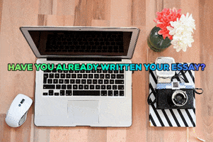 Writing Essay GIF