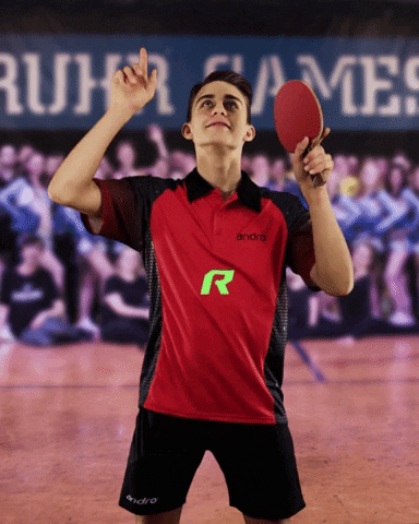 Celebrate Ping Pong GIF by Ruhr Games