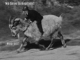 Video gif. Monkey donning a full tuxedo rides on a speedy goat. Text reads, "No time to explain!! Hop on!!"