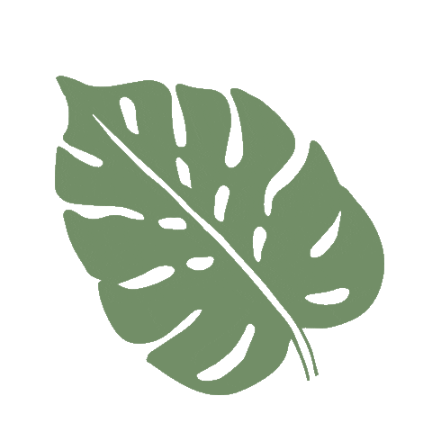 Plant Leaf Sticker