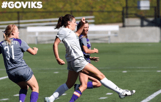 Goviks Sofipapastamos GIF