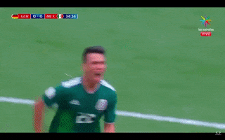 qatar 2022 rusia 2018 GIF by MiSelecciónMX