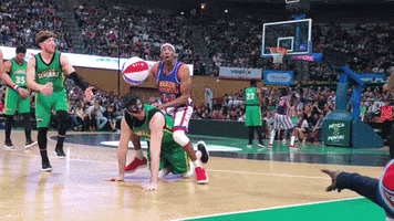 horse riding GIF by Harlem Globetrotters