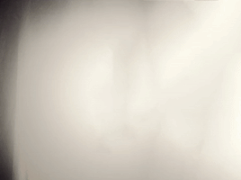 GIF by Miss Chá
