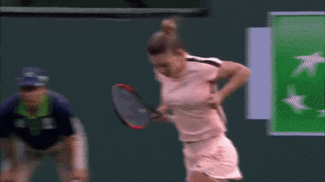 excited lets go GIF by WTA