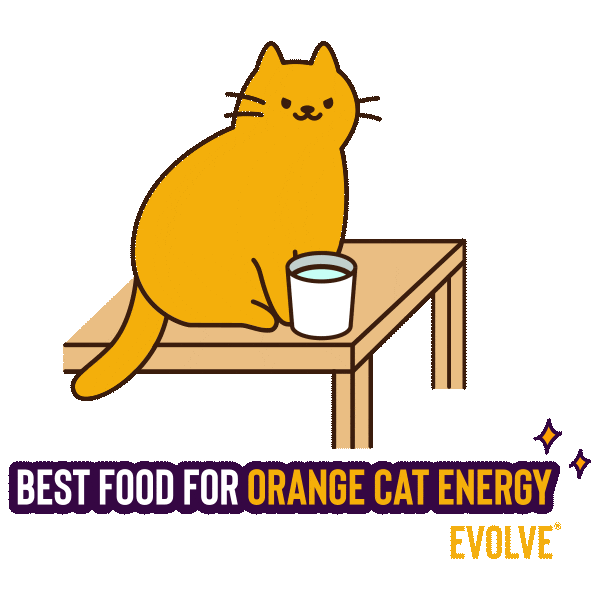 Cat Evolve Sticker by Sunshine Mills