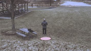 Selfie Drone GIF