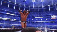 Triple H Sport GIF by WWE Triple H Sport GIF by WWE