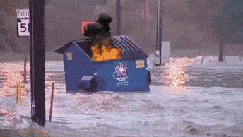 Fire This Is Fine GIF by MOODMAN