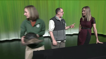stop lol GIF by WGN Morning News