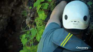 discovery channel omg GIF by Discovery Europe