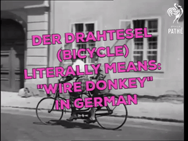Drahtesel GIF
