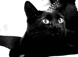 sitting sonic youth GIF by hoppip