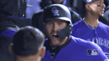parra celebrate GIF by MLB