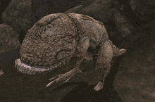 Morrowind GIF